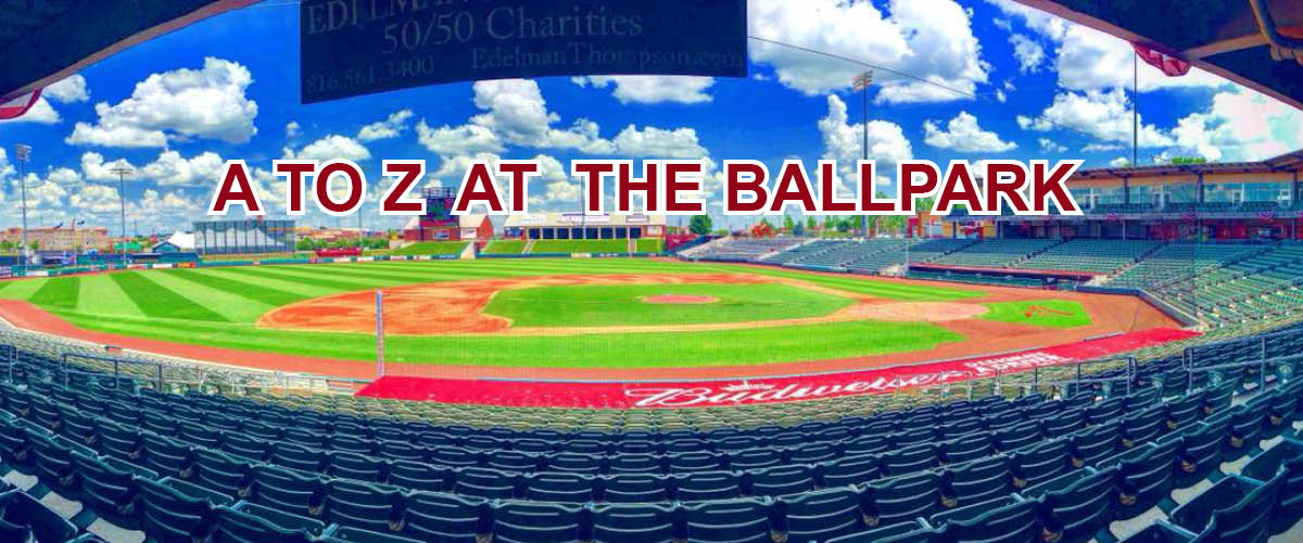 Kansas City T-Bones Minor League Baseball Team Men's Jersey Gray Large  Verizon